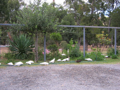 Tim's Place - Sydney 4u 1