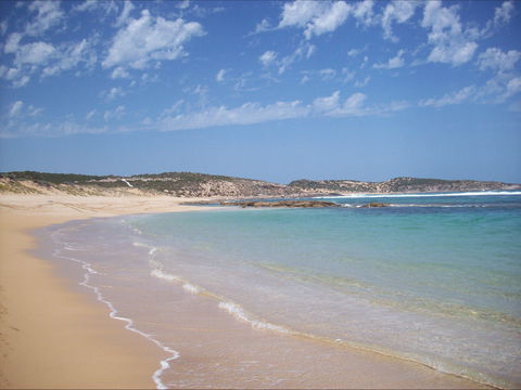 Top Deck Marion Bay - Sydney 4u 1