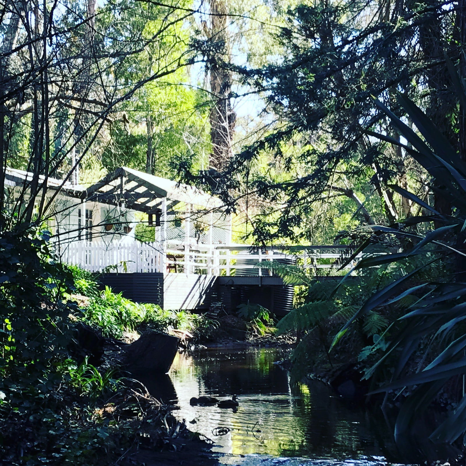  Accommodation Sydney