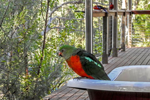 Araluen Park Cottages - Sydney 4u 2