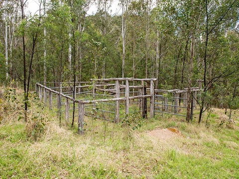 Blue Gums Campground - Sydney 4u 1