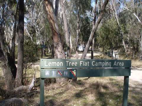Lemon Tree Flat Campground - Accommodation Sydney 0