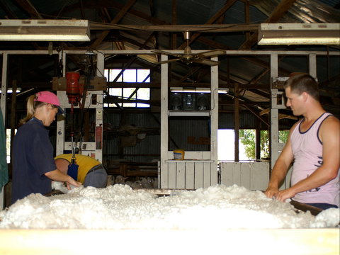 Pelican Sheep Station - Accommodation Sydney 0