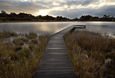 Hidden Valley Forest Retreat - Sydney 4u 4