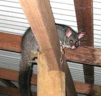 Warren River Resort - Accommodation Sydney