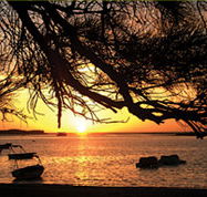 Pelican's Nest - Accommodation Sydney