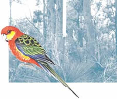 Bussells Bushland Cottages - Accommodation Sydney 2