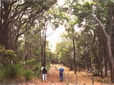 Bussells Bushland Cottages - Accommodation Sydney 3