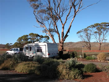 Fraser Range Sheep Station - Sydney 4u 0