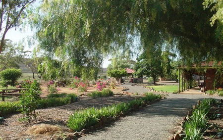 Fraser Range Sheep Station - Sydney 4u 2