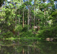 Peppermint Grove Retreat - Accommodation Sydney