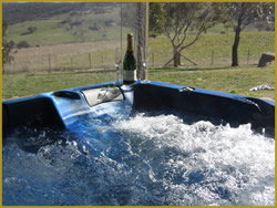 Henlie Park Bed & Breakfast - Accommodation Sydney 1