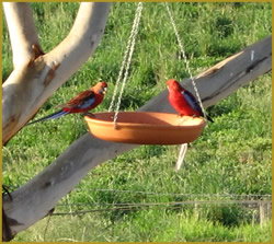 Henlie Park Bed & Breakfast - Accommodation Sydney 3