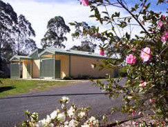 Bega Caravan Park - Sydney 4u 5