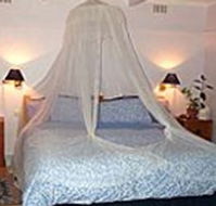 Bondi Beach Garden Sweet - Accommodation Sydney