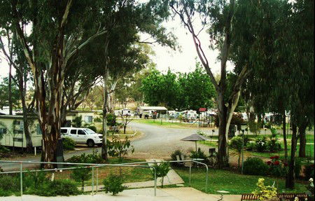 Buronga Riverside Tourist Park - Accommodation Sydney 4