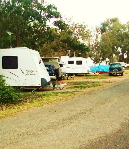 Buronga Riverside Tourist Park - Accommodation Sydney 5