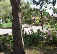 Peaceful Bay Bed and Breakfast - Sydney 4u
