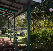 Bow River Cottage - Sydney 4u
