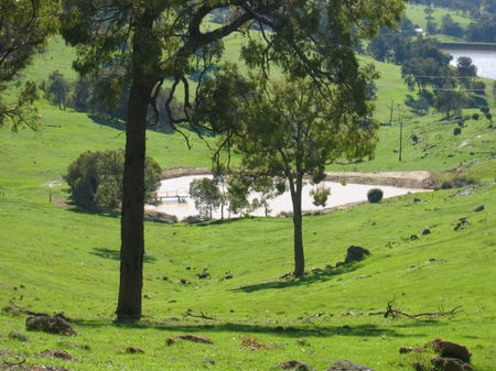 Vista Ridge Estate - Top Paddock Cottage - Accommodation Sydney 3