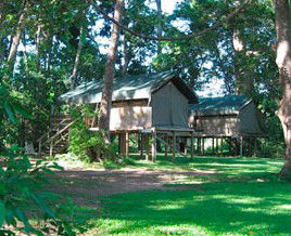 Lions Den Hotel - Sydney 4u 3