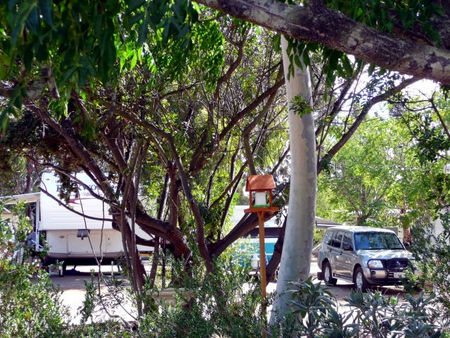 Kojonup Caravan Park - Accommodation Sydney 1