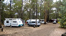 Lake Navarino Holiday Park - Sydney 4u 3