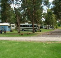 Harvey Rainbow Caravan Park - Sydney 4u