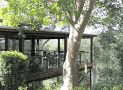 Watagan Lodge - Accommodation Sydney 5