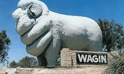 Wagin Motel - Accommodation Sydney