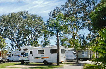 Perth Central Caravan Park - Sydney 4u 2