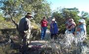 Western Flora Caravan Park - Sydney 4u 0