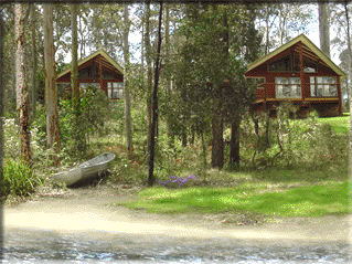 Bewong River Retreat - thumb 4