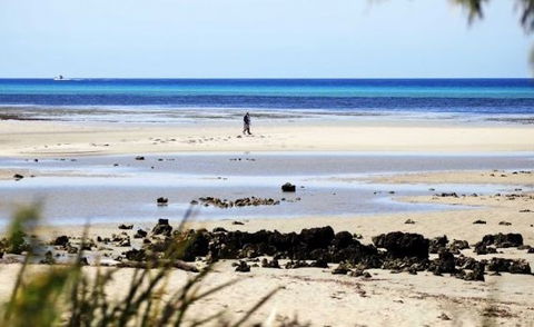 Halcyon Bay - Sydney 4u 5