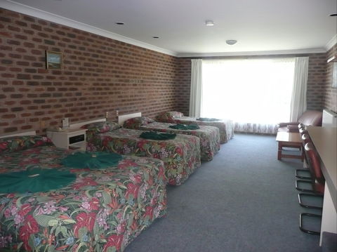 Big Trout Motor Inn - Sydney 4u 2