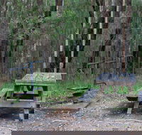 Boundary Falls campground and picnic area - Sydney 4u