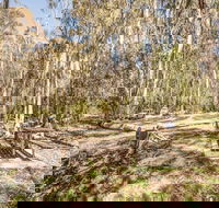Coree campground - Sydney 4u