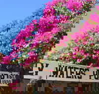 Daly Waters Historic Pub - Sydney 4u