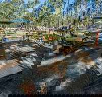 Dashville - Sydney Resort