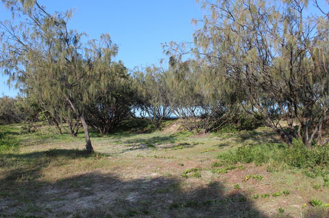 K'gari (Fraser Island) Camping, Great Sandy National Park - Accommodation Sydney 1