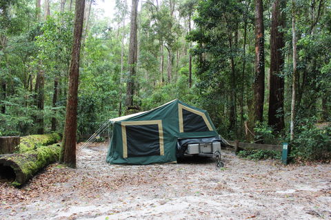 K'gari (Fraser Island) Camping, Great Sandy National Park - Accommodation Sydney 2