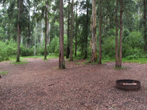 Murphys Glen Campground - Accommodation Sydney 0