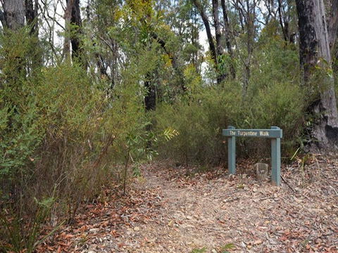 Murphys Glen Campground - Accommodation Sydney 2