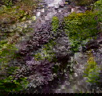 Nimbin Waterfall Retreat - Sydney 4u