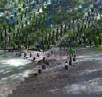 Stringers Camp at Lane Poole Reserve - Sydney 4u