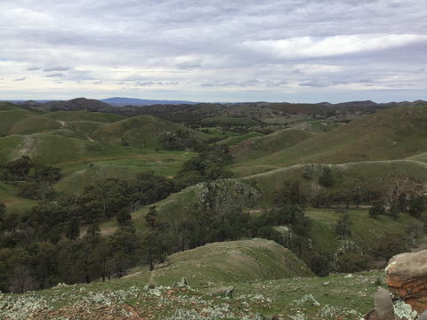 Three Creeks - Sydney 4u 0