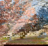 Tumbarumba Caravan Park - Sydney 4u