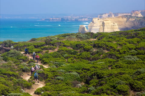 Twelve Apostles Lodge Walk - Accommodation Sydney 0