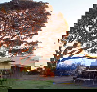 WhiteCliffs to Camerons Bight Foreshore Reserve - Accommodation Sydney