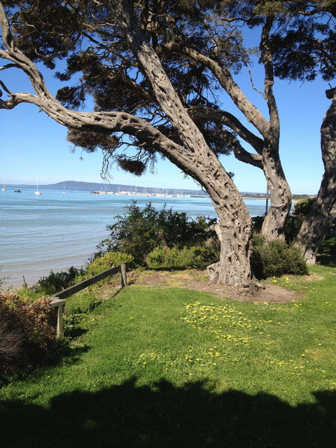 WhiteCliffs To Camerons Bight Foreshore Reserve - Accommodation Sydney 2